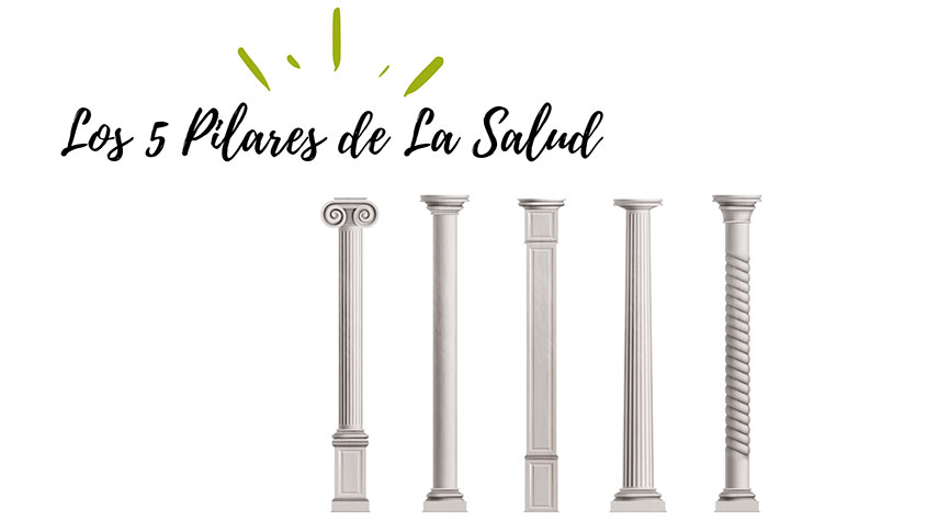 Los 5 pilares de la salud Quiropráctica Barcelona