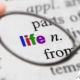 imagen de un texto resaltando con una lupa y colores la palabra "life"