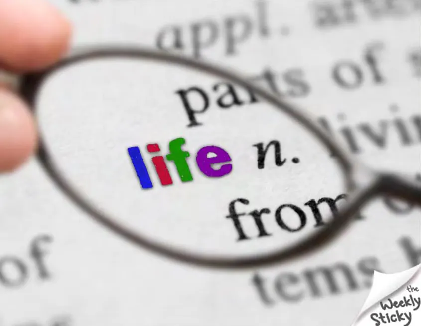 imagen de un texto resaltando con una lupa y colores la palabra "life"